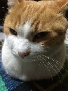 1501