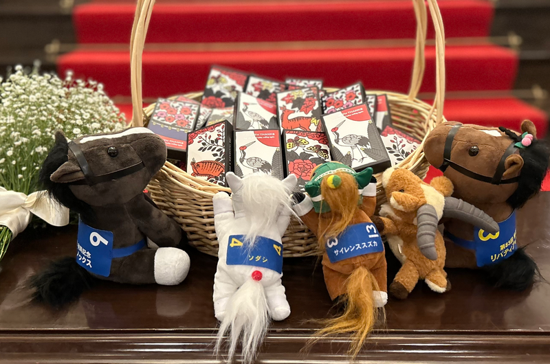 いただいたDVDを何度も見返しています笑