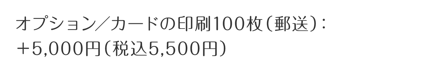 オプション/カードの印刷100枚(郵送):+5,000円(税込5,500円)(プロフィールムービーを注文の方は無料)